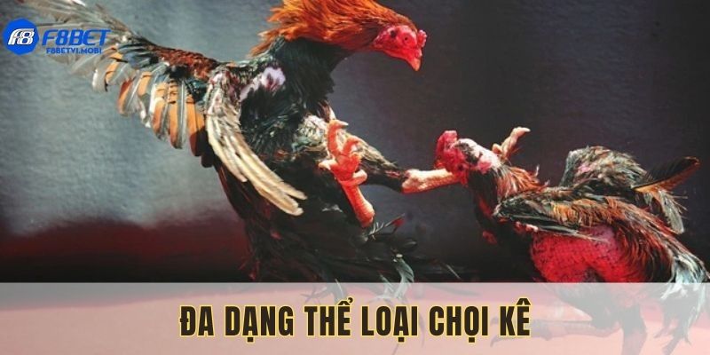 Hiện nay có đa dạng các thể loại đá kê tại F8bet