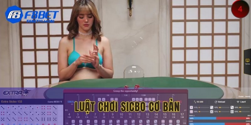 Luật chơi Sicbo cơ bản người mới cần nắm rõ trước khi xuống tiền