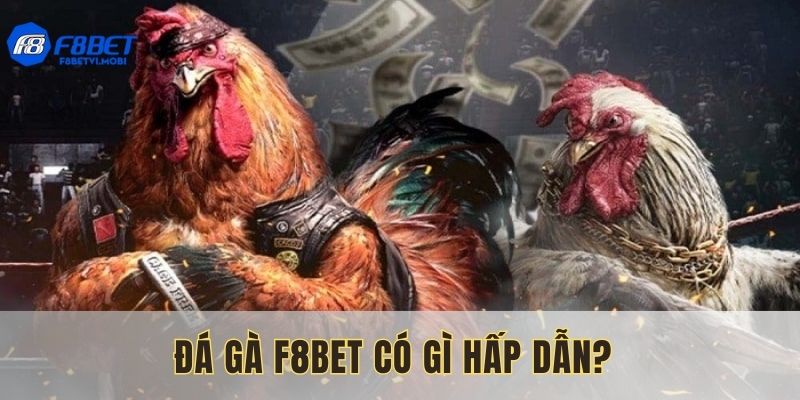 Quá nhiều điểm đặc sắc hội tụ tại đá gà nhà cái F8bet